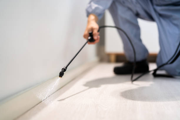 Bed Bug Pre-Treatment Preparation Assessment in Glencoe