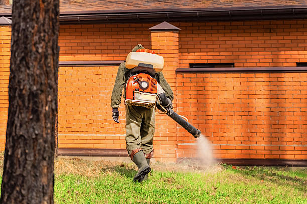 Bed Bug Clearance Verification and Documentation in Glencoe